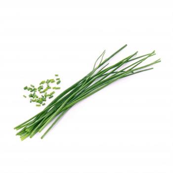 VERITABLE LINGOTTO - ERBA CIPOLLINA BIO