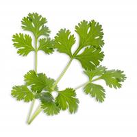 VERITABLE LINGOTTO - CORIANDOLO BIO