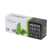 VERITABLE LINGOTTO - MENTA
