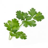 VERITABLE LINGOTTO - PREZZEMOLO ITALIANO BIO