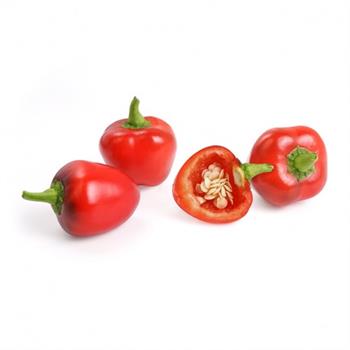 VERITABLE LINGOTTO - MINI PEPERONE ROSSO BIO