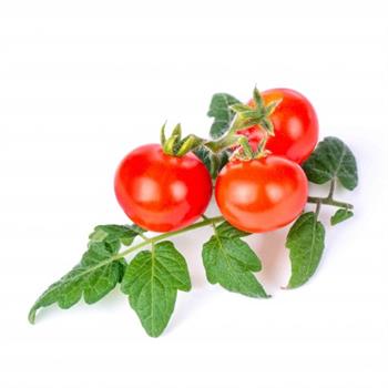 VERITABLE LINGOTTO - MINI POMODORI ROSSI BIO