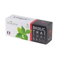 VERITABLE LINGOTTO - BASILICO THAILANDESE BIO