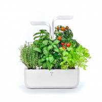 VERITABLE ORTO DA INTERNO CLASSIC - BIANCO