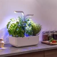 VERITABLE ORTO DA INTERNO CLASSIC - BIANCO