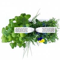 VERITABLE ORTO DA INTERNO CLASSIC - BIANCO