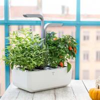 VERITABLE ORTO DA INTERNO SMART - BIANCO/ARGENTO