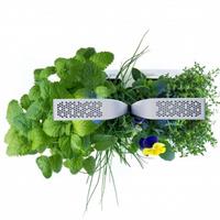 VERITABLE ORTO DA INTERNO SMART - BIANCO/ARGENTO