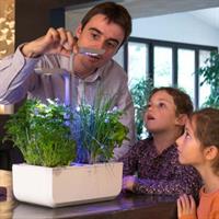 VERITABLE ORTO DA INTERNO SMART - BIANCO/ARGENTO