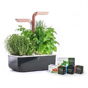 VERITABLE ORTO DA INTERNO SMART SPECIAL ED - NERO/RAME