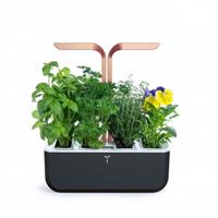 VERITABLE ORTO DA INTERNO SMART SPECIAL ED - NERO/RAME