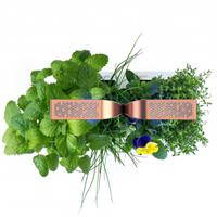 VERITABLE ORTO DA INTERNO SMART SPECIAL ED - NERO/RAME