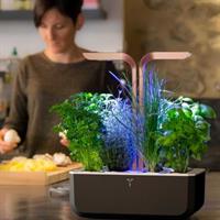 VERITABLE ORTO DA INTERNO SMART SPECIAL ED - NERO/RAME